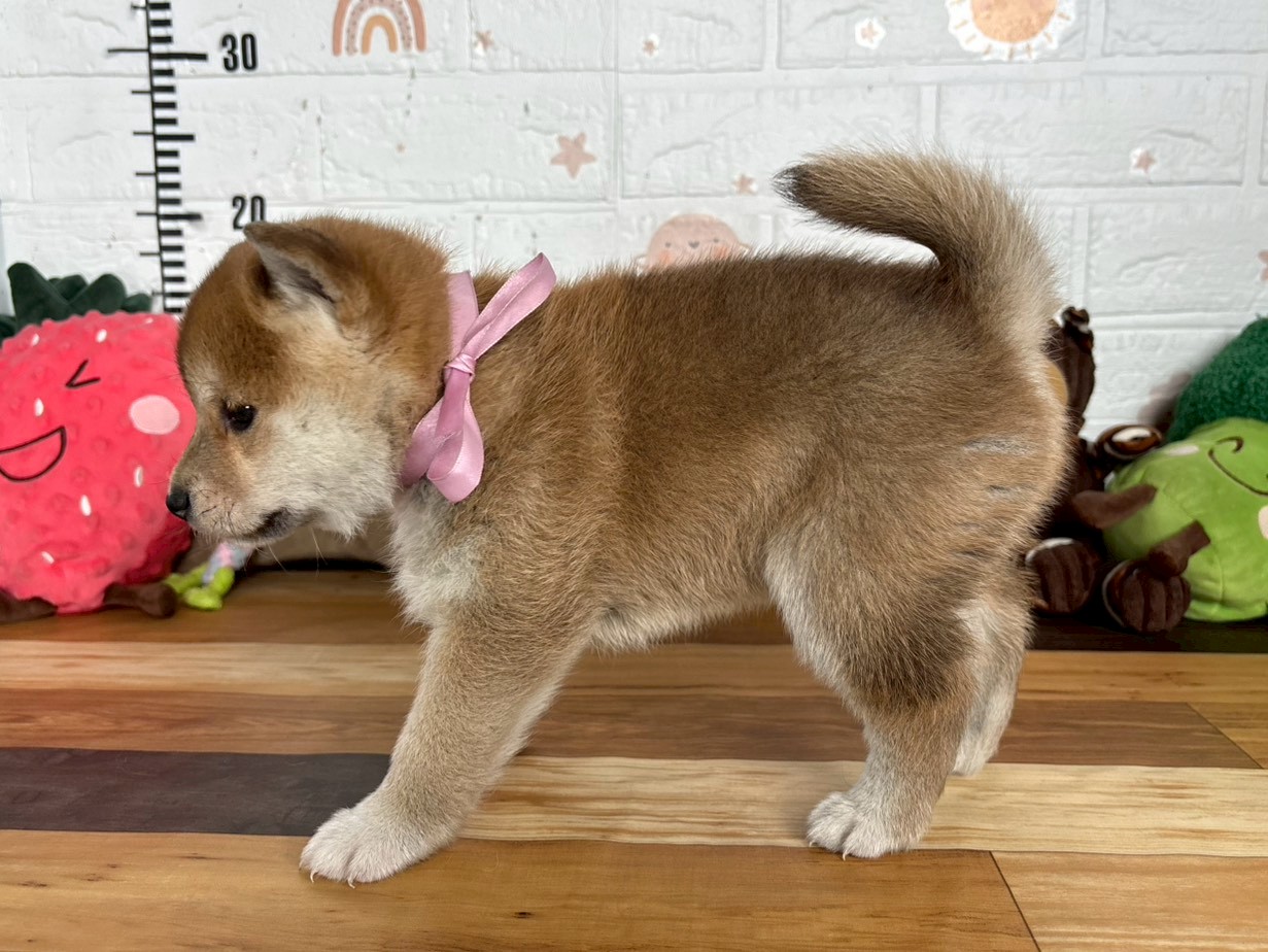 赤ちゃん写真3-2