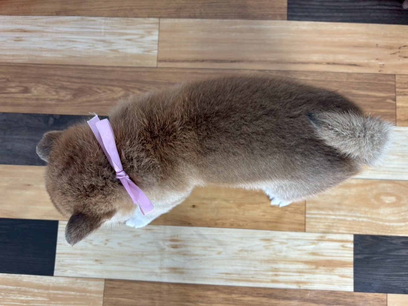 赤ちゃん写真3-3