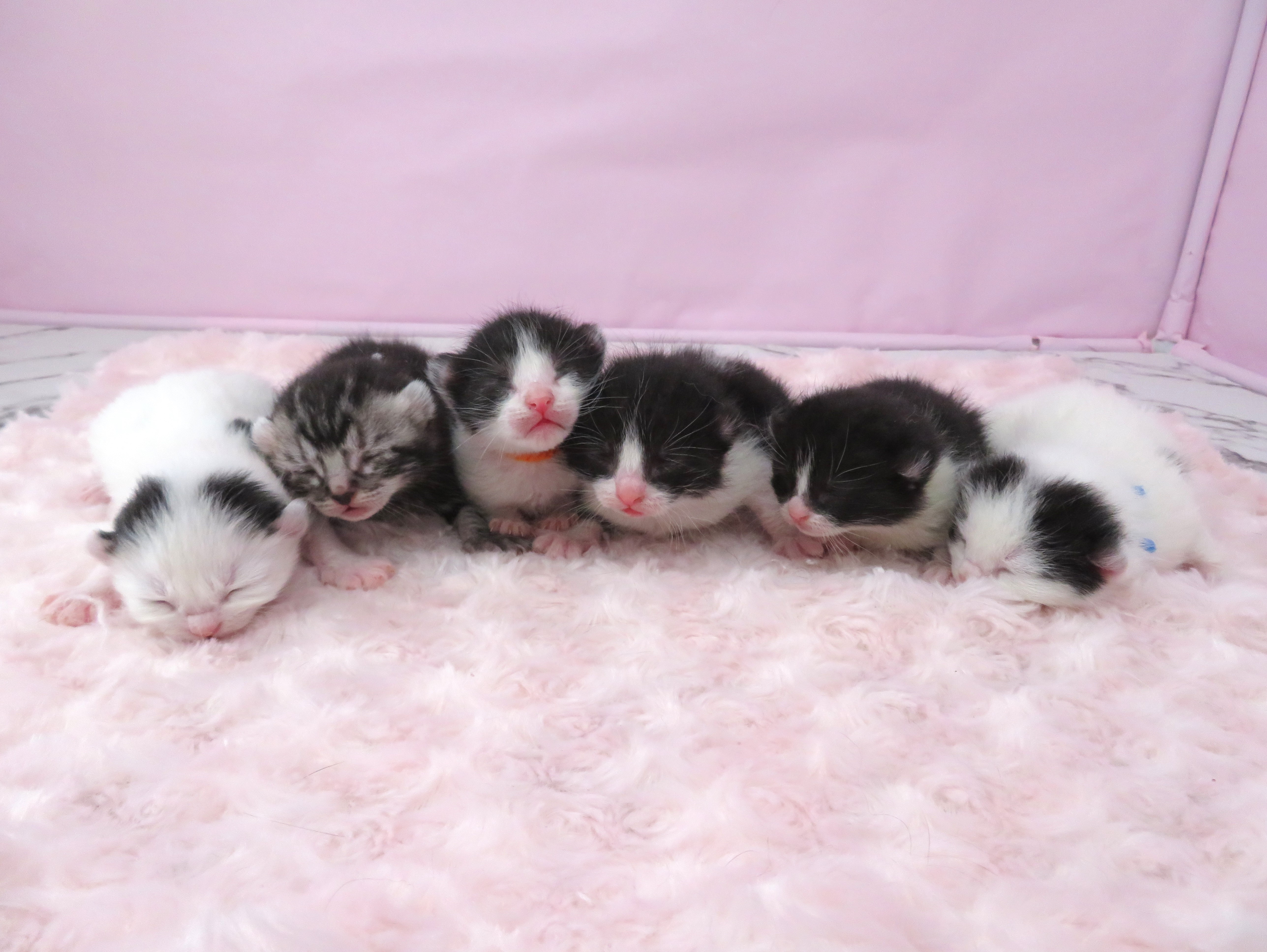 赤ちゃん写真1-3