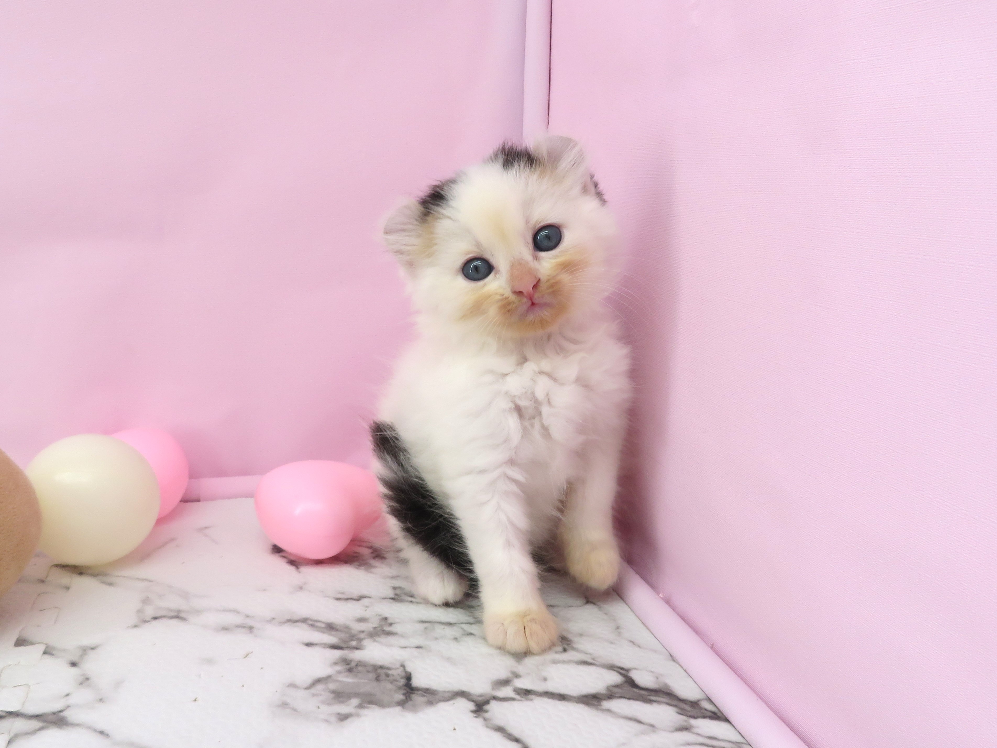赤ちゃん写真2-1