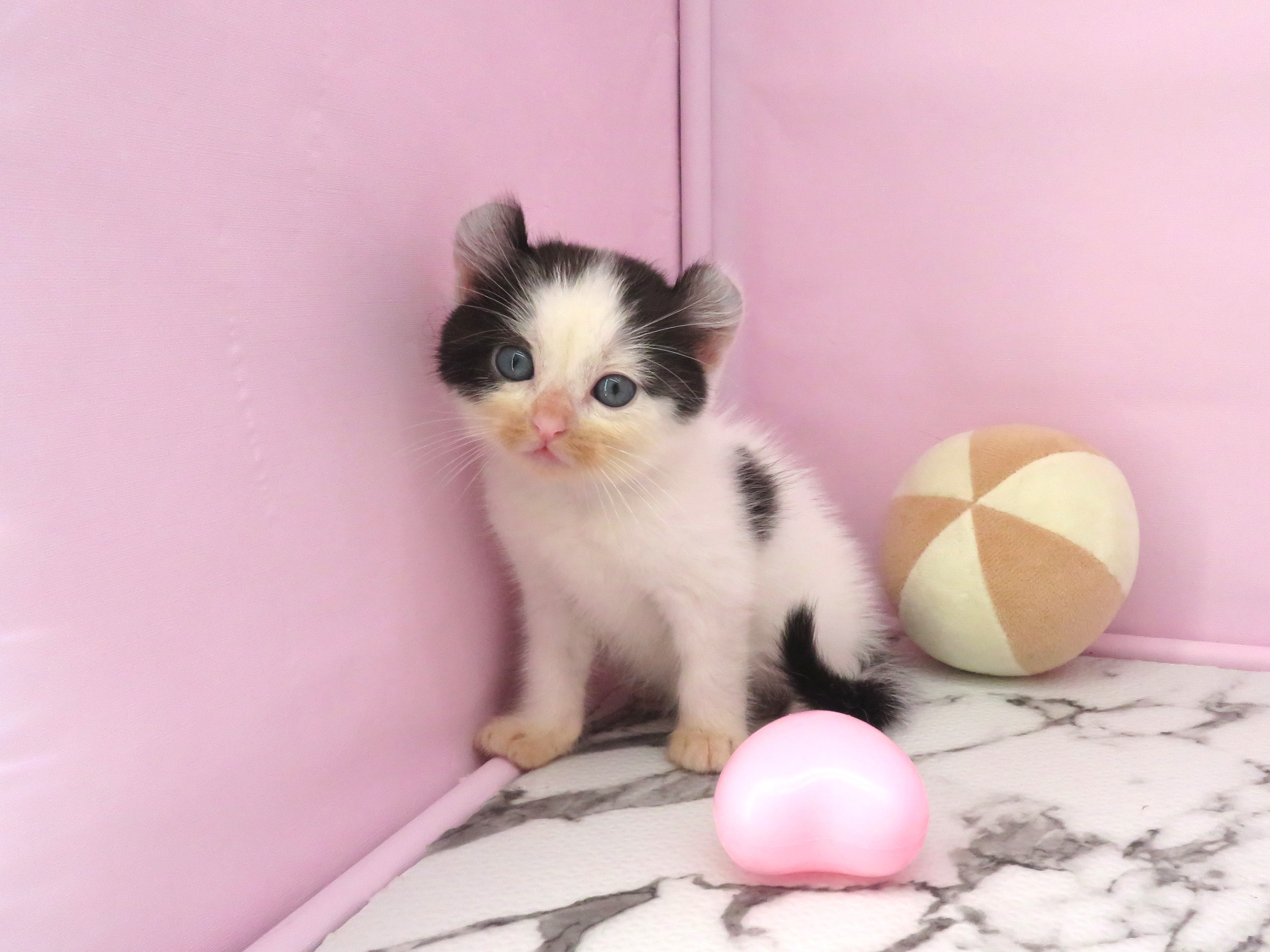 赤ちゃん写真2-1