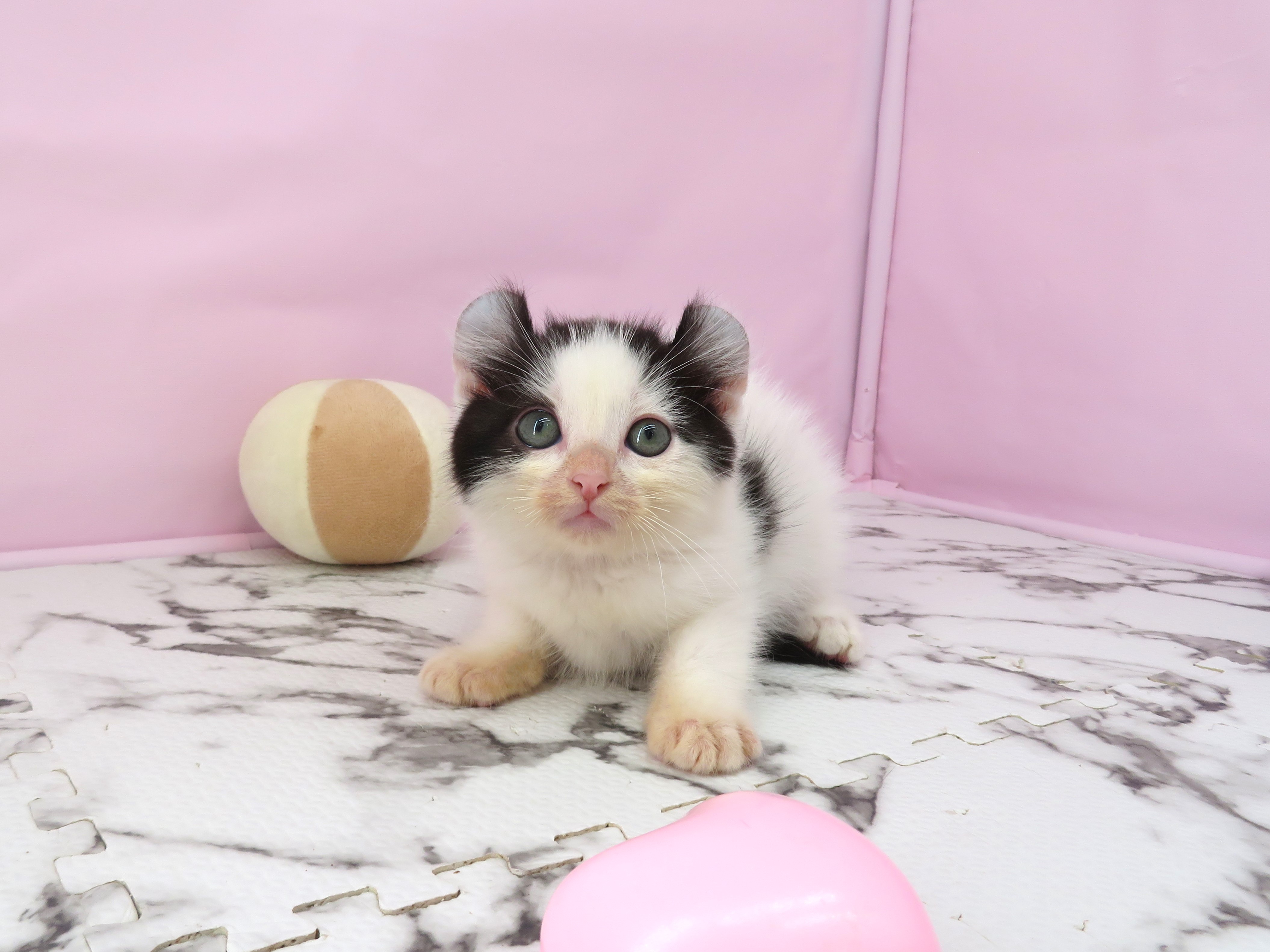 赤ちゃん写真3-1