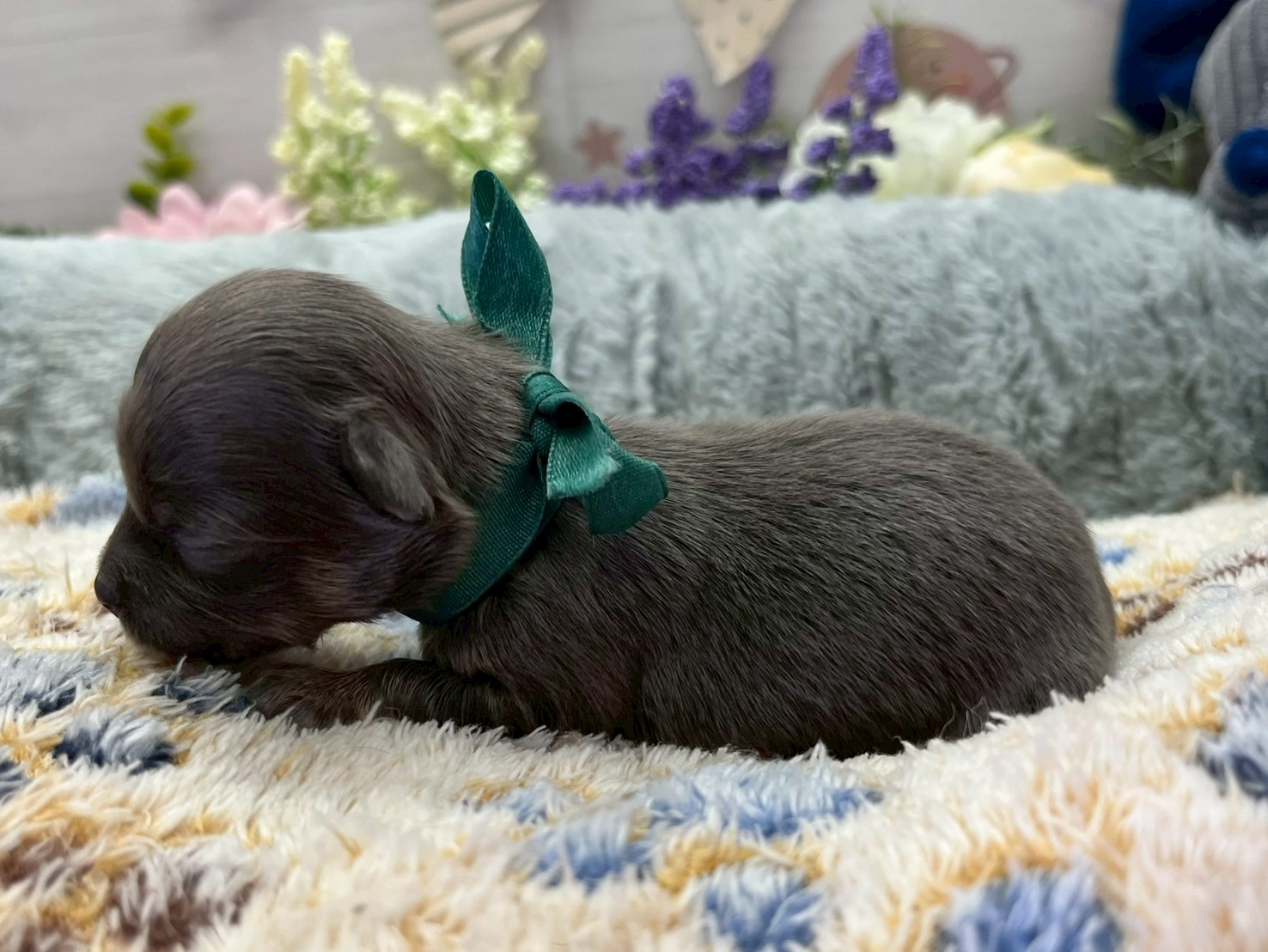 赤ちゃん写真1-2
