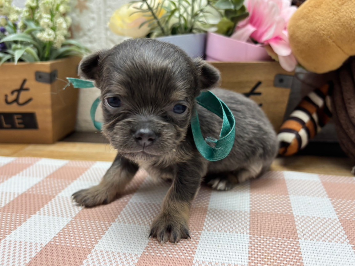 赤ちゃん写真2-1