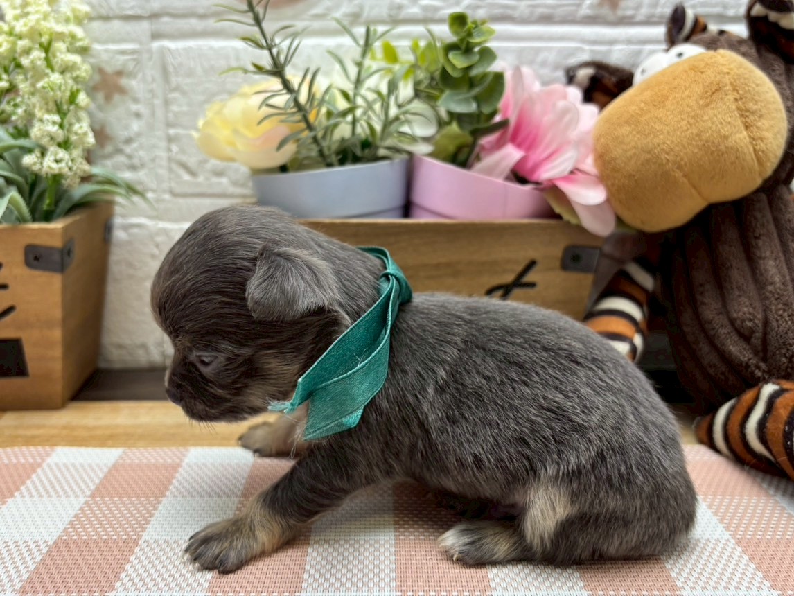 赤ちゃん写真2-2
