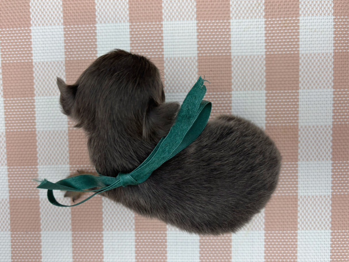 赤ちゃん写真2-3
