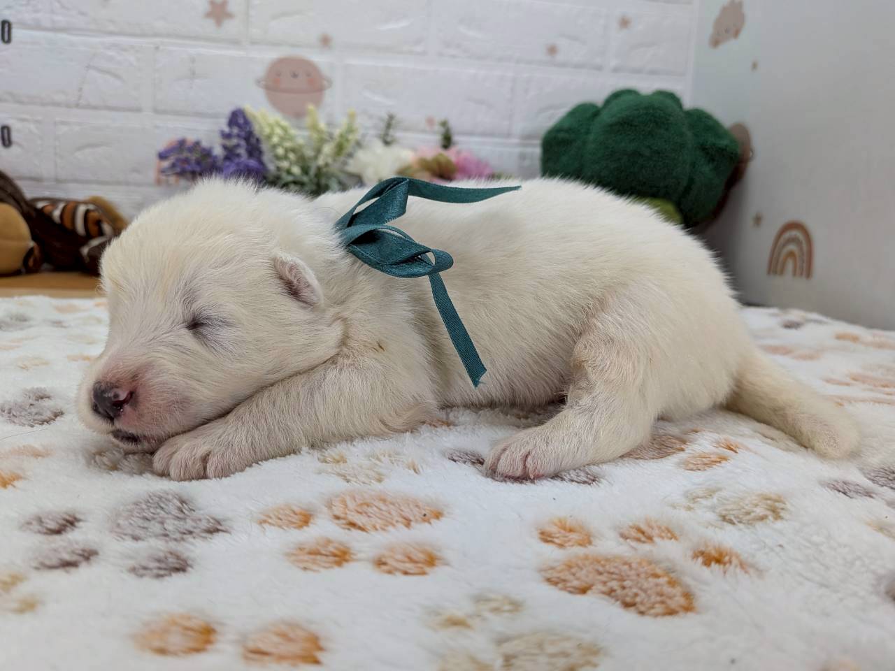 赤ちゃん写真1-2