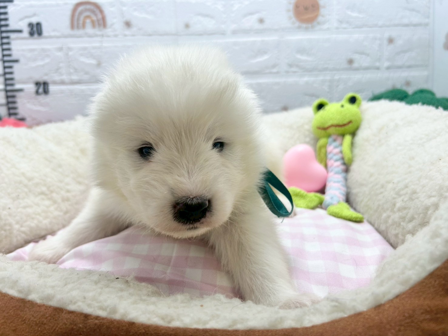 赤ちゃん写真2-1