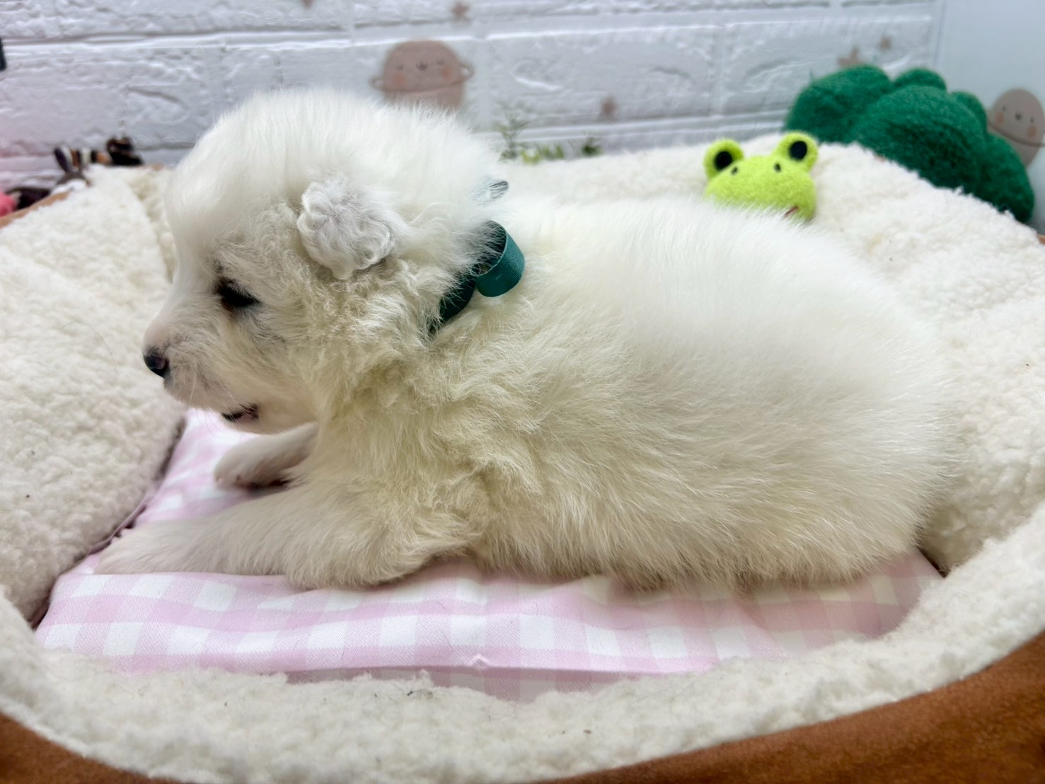 赤ちゃん写真2-2