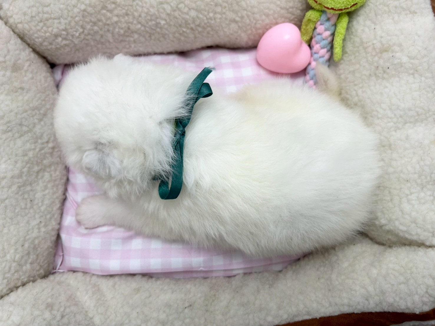 赤ちゃん写真2-3