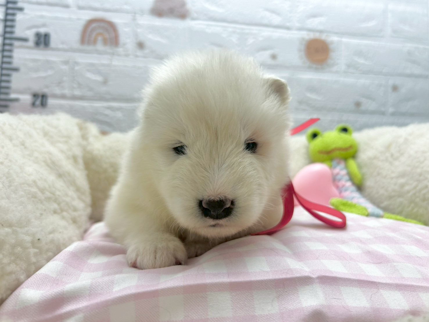 赤ちゃん写真2-1