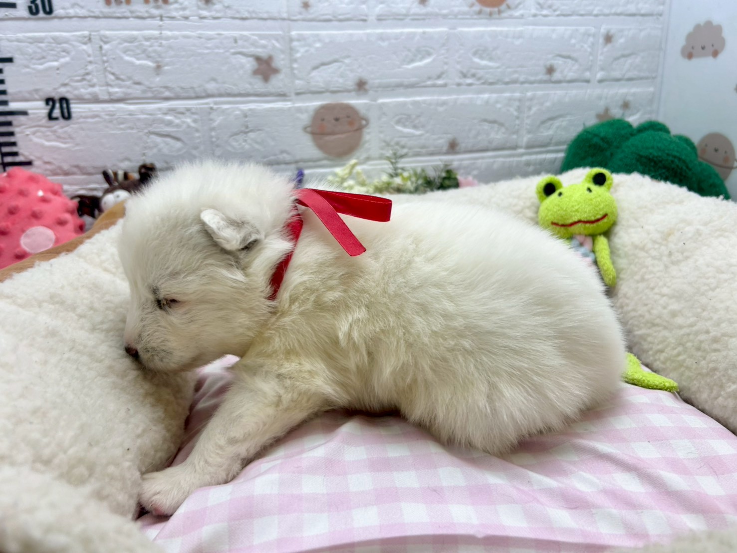 赤ちゃん写真2-2