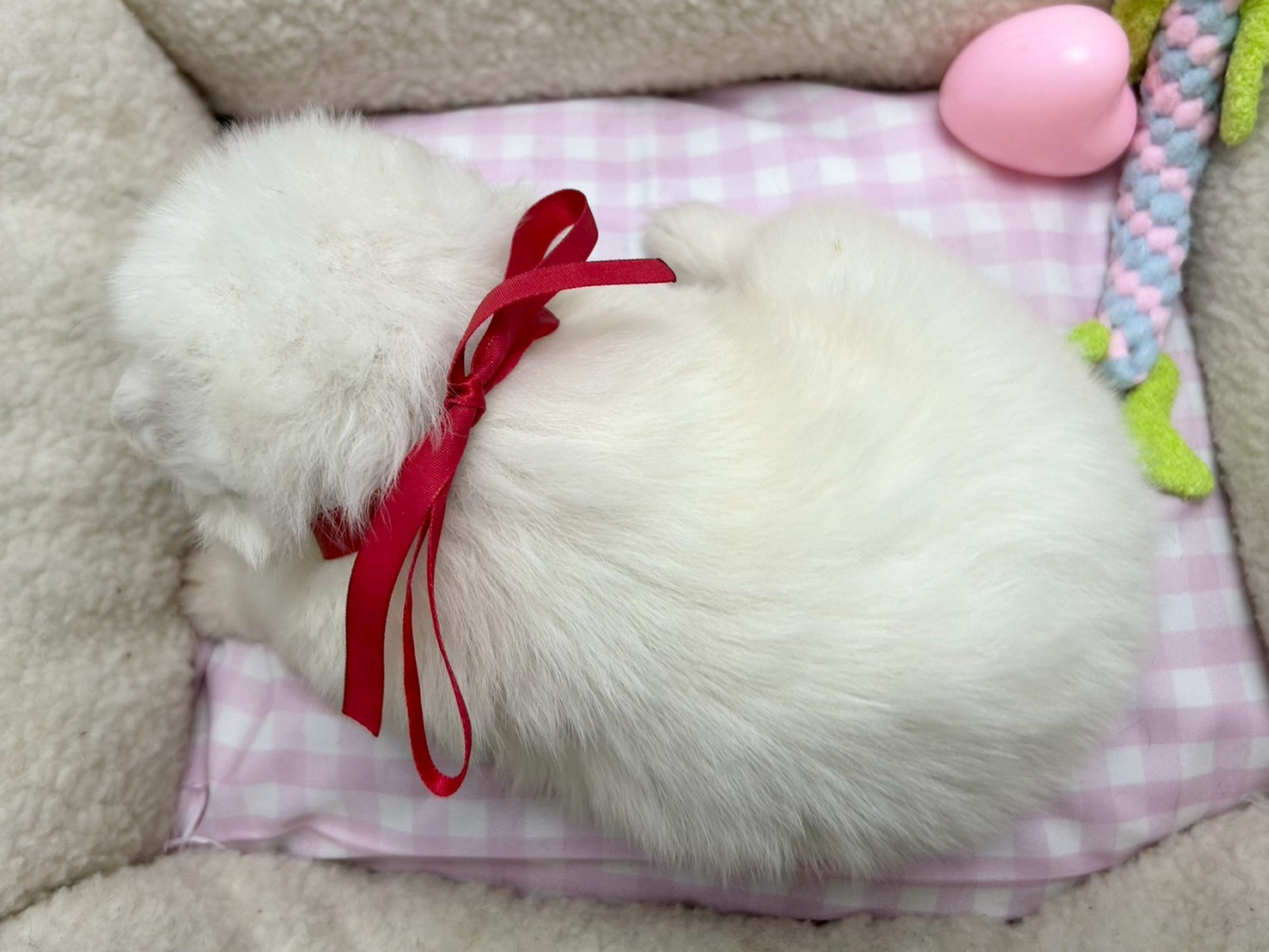 赤ちゃん写真2-3