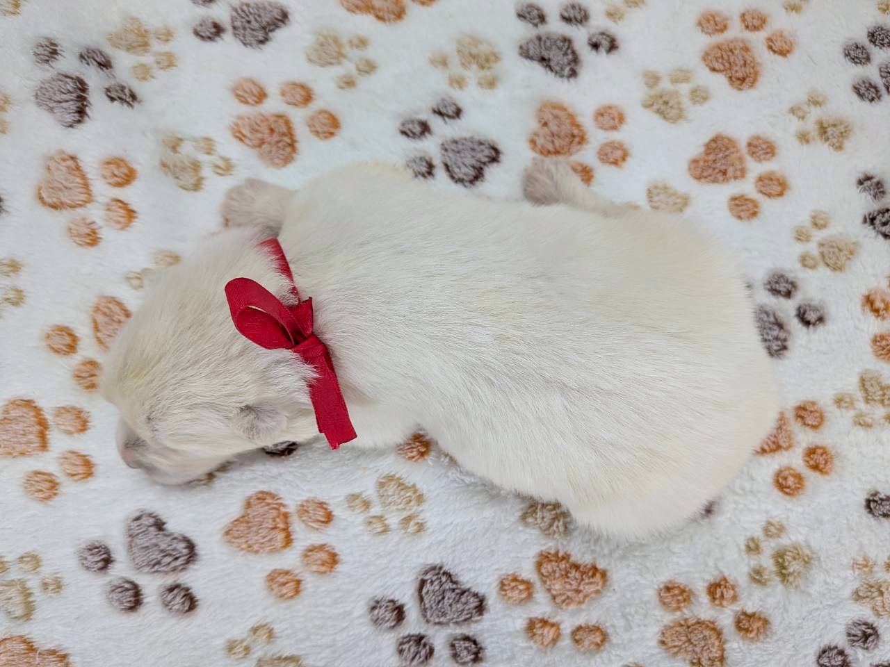 赤ちゃん写真1-3