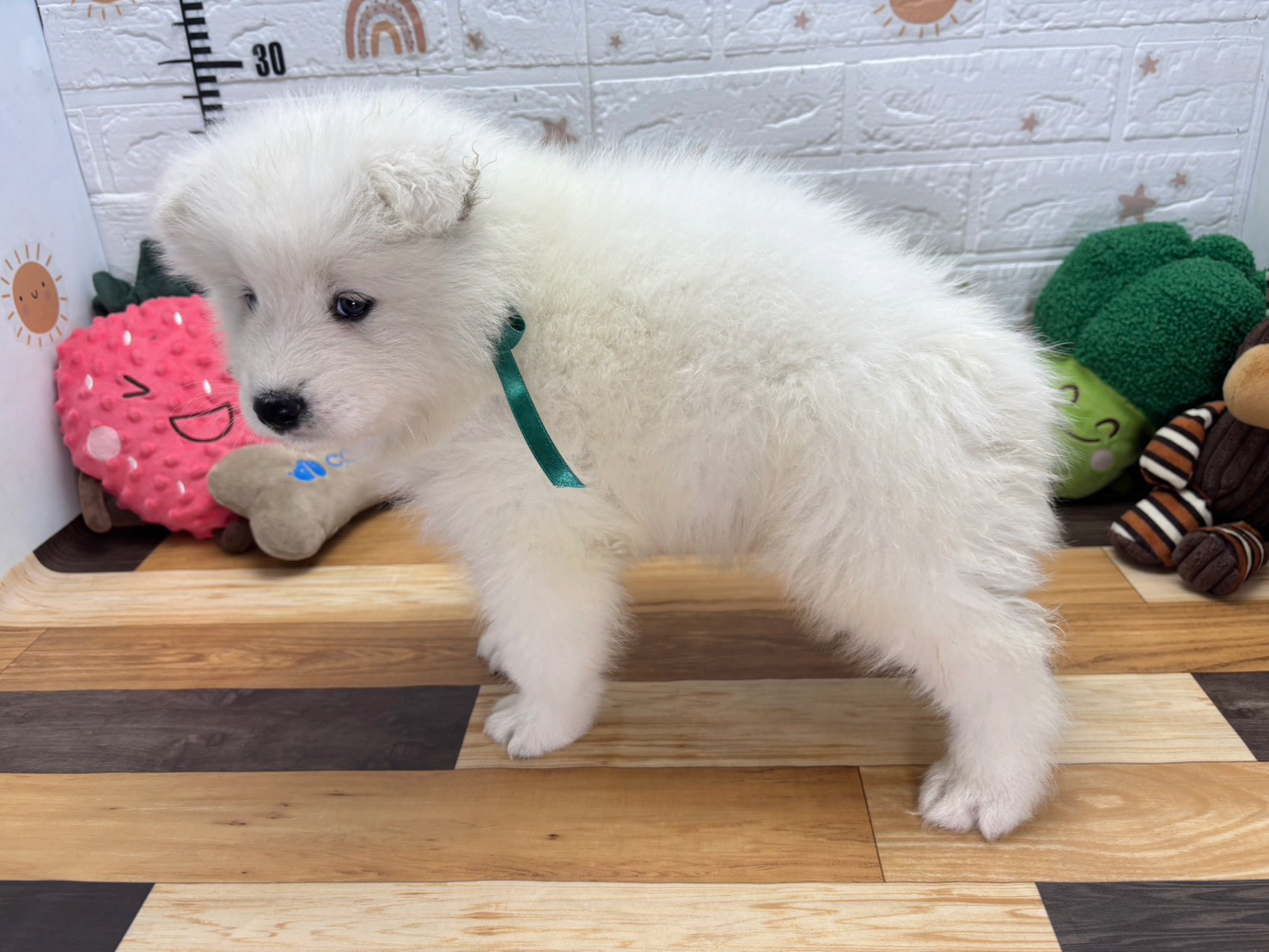 赤ちゃん写真3-2