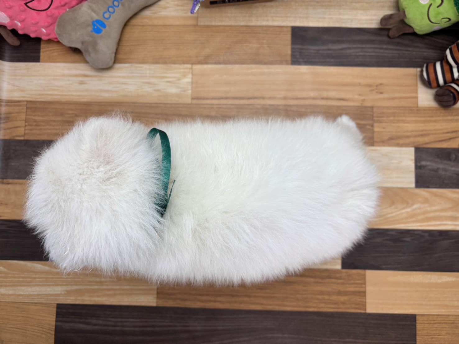 赤ちゃん写真3-3