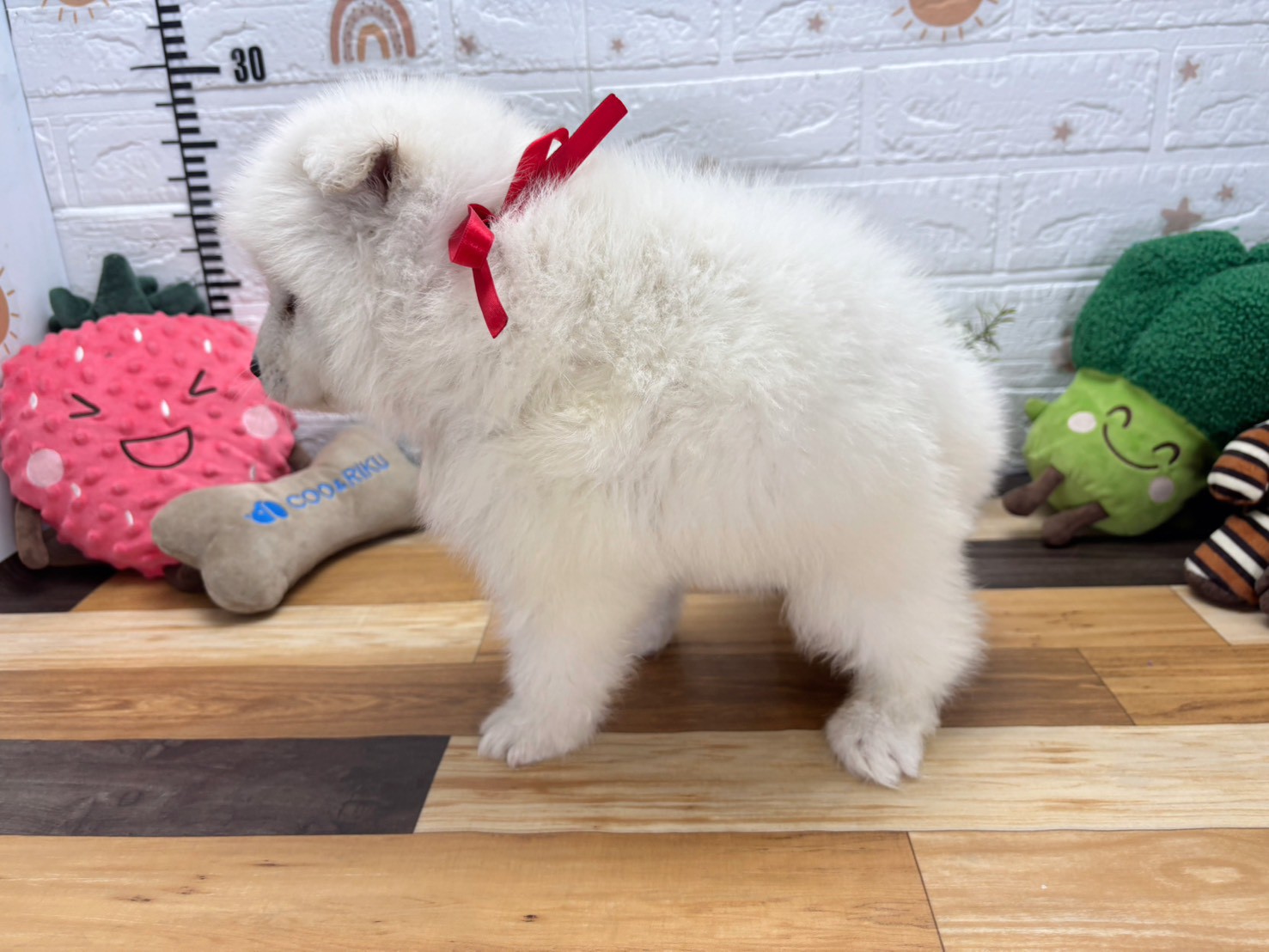 赤ちゃん写真3-2