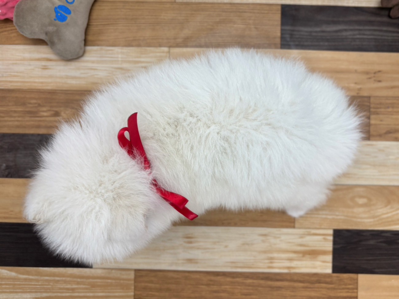 赤ちゃん写真3-3