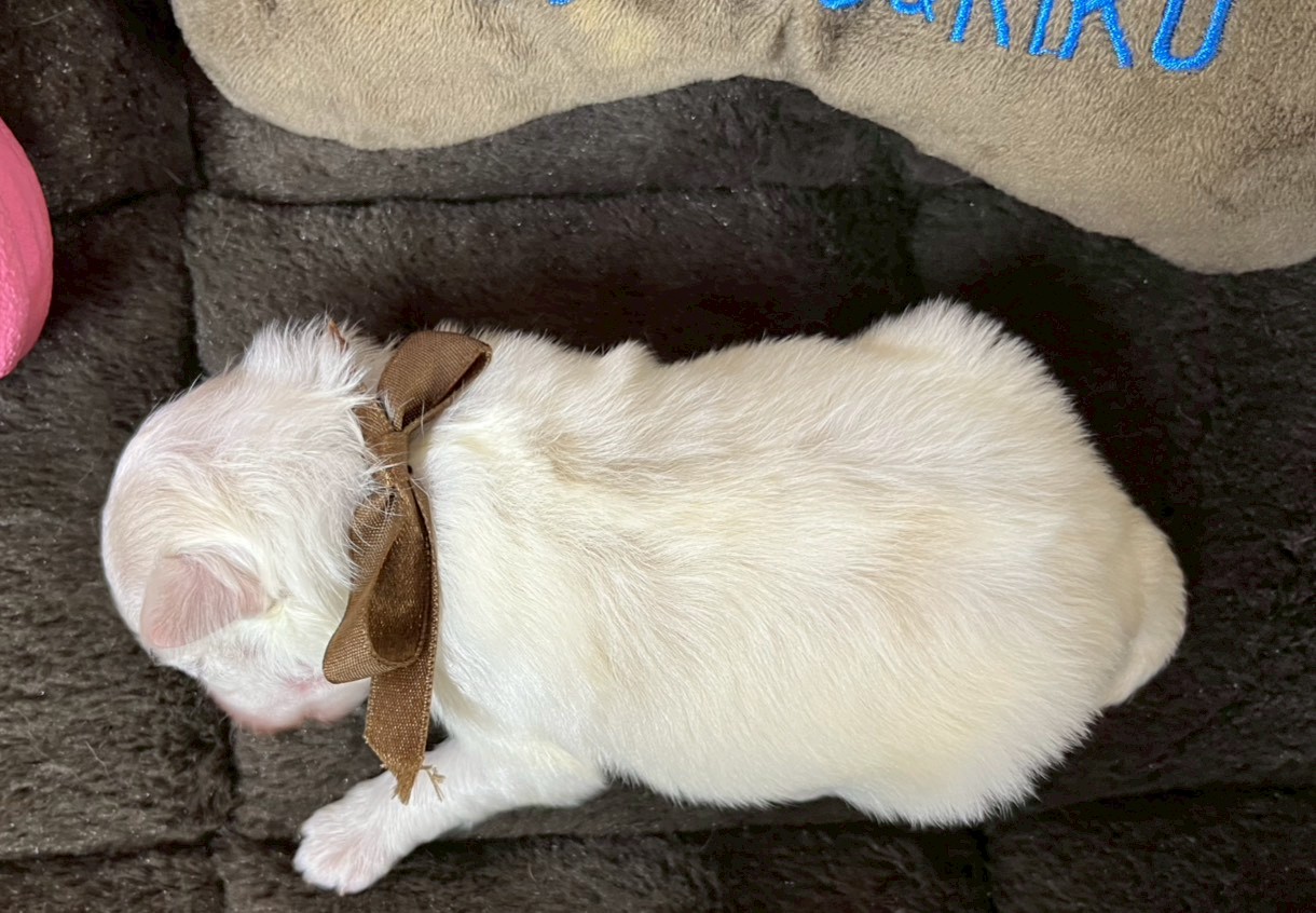 赤ちゃん写真1-3