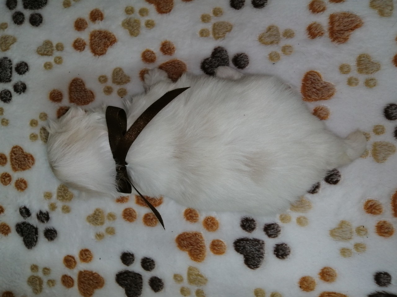 赤ちゃん写真2-3
