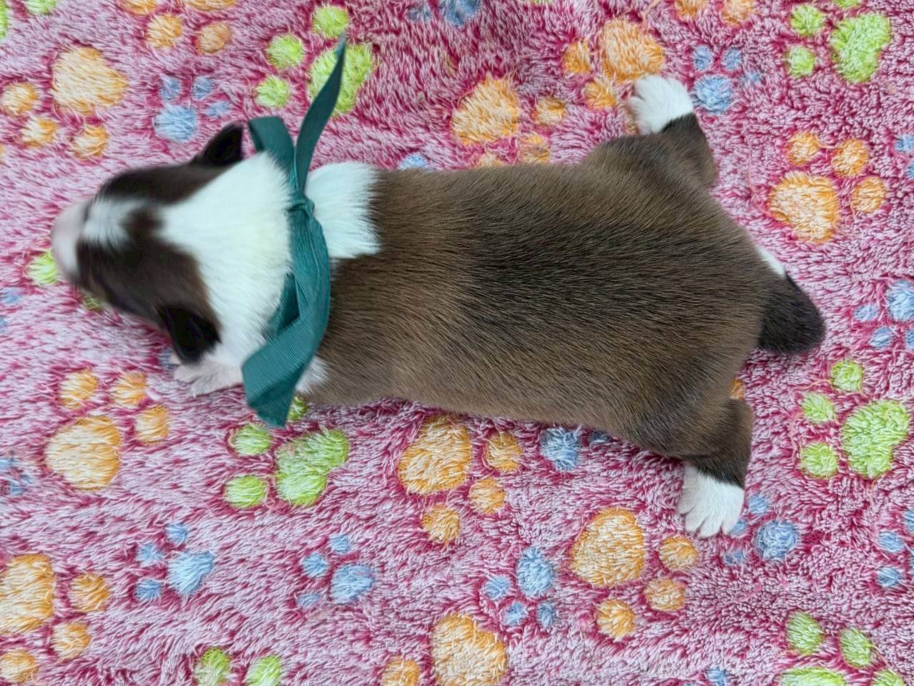 赤ちゃん写真1-3