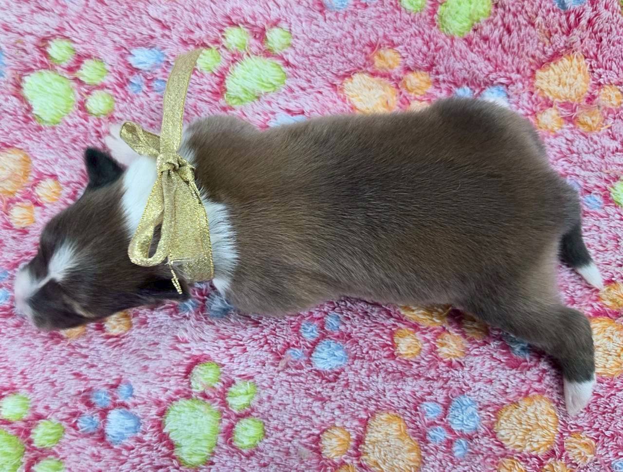 赤ちゃん写真1-3