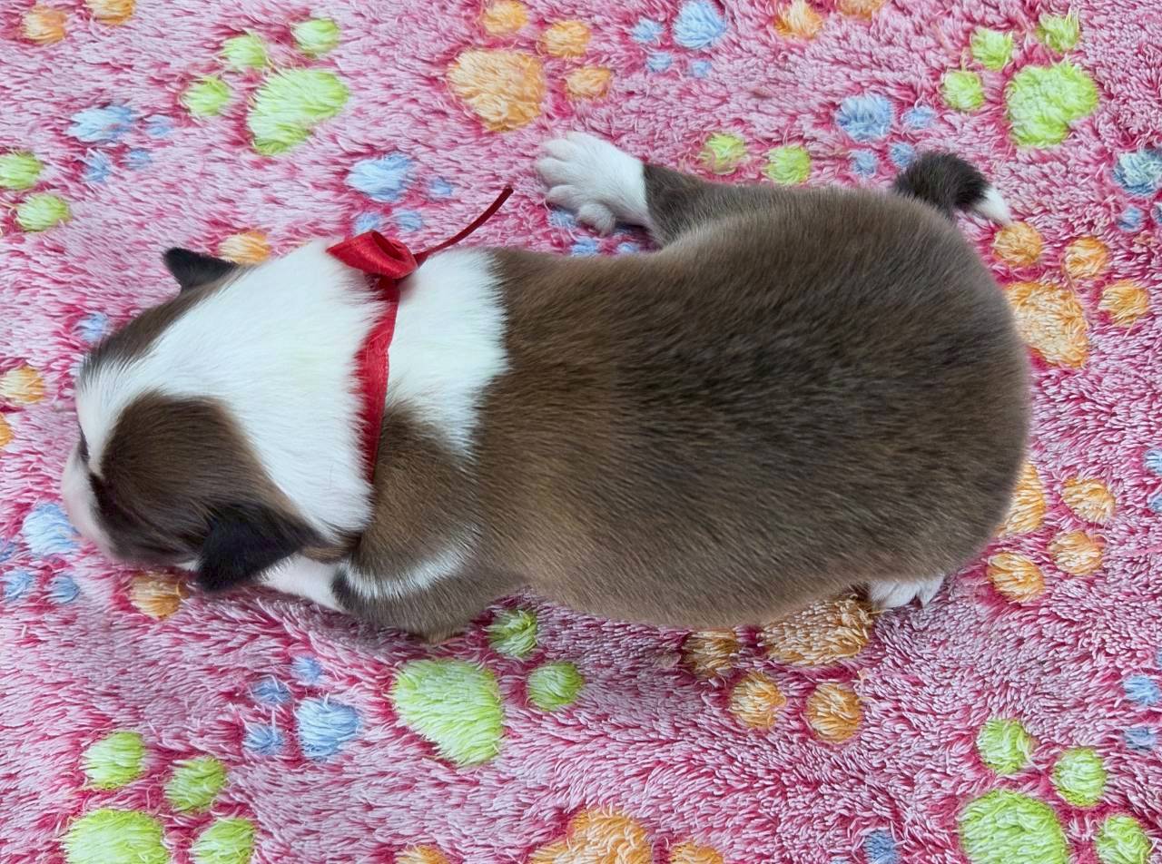 赤ちゃん写真1-3