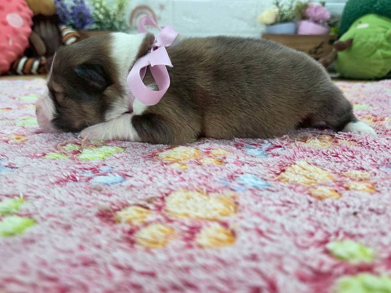 赤ちゃん写真1-2