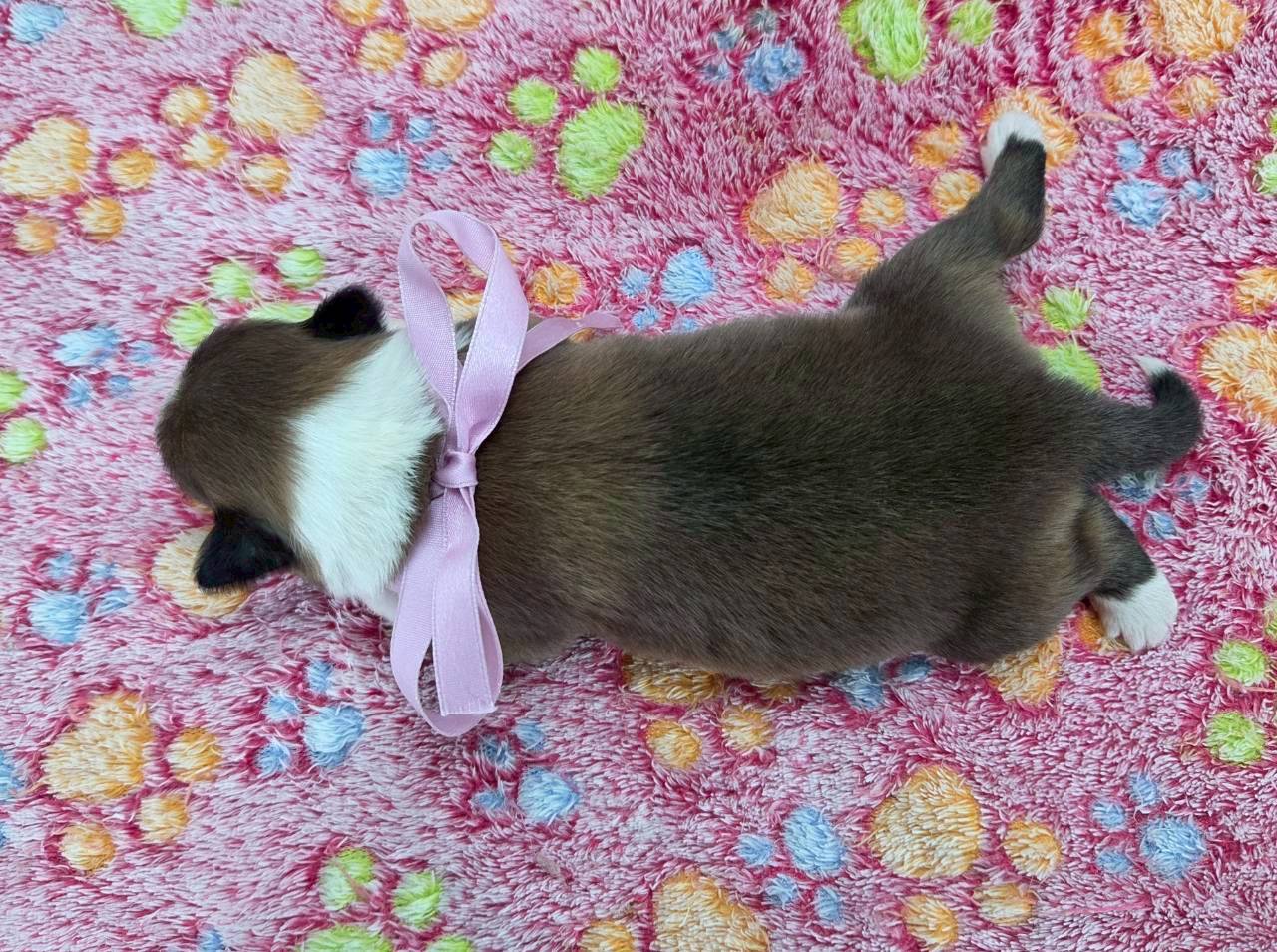 赤ちゃん写真1-3