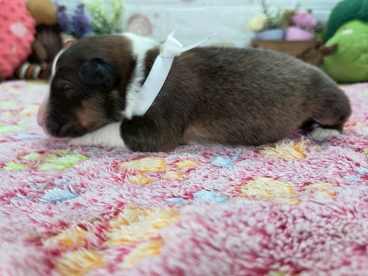赤ちゃん写真1-2