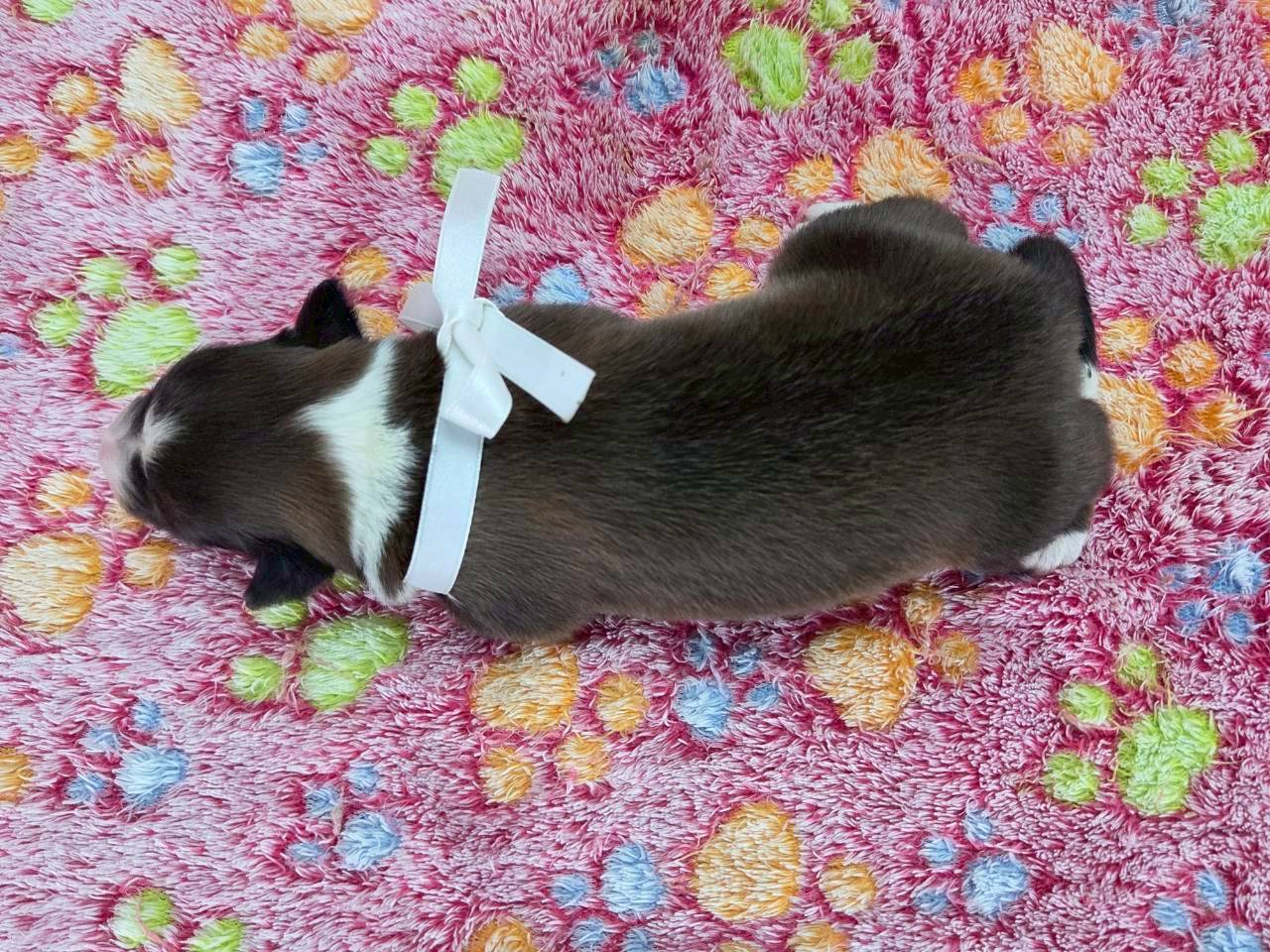 赤ちゃん写真1-3