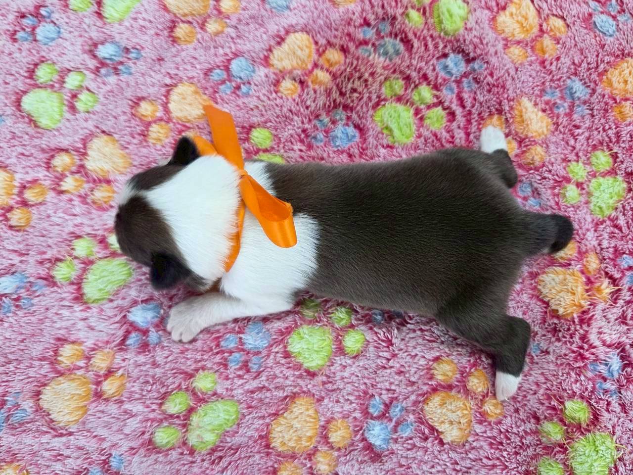 赤ちゃん写真1-3