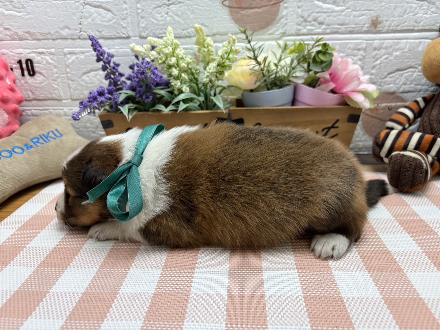 赤ちゃん写真2-2