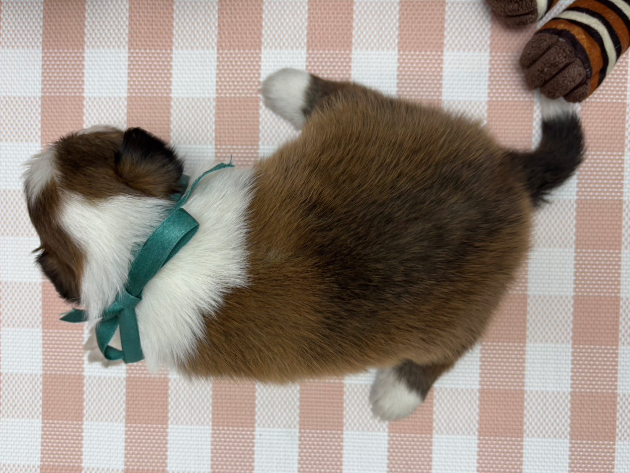 赤ちゃん写真2-3