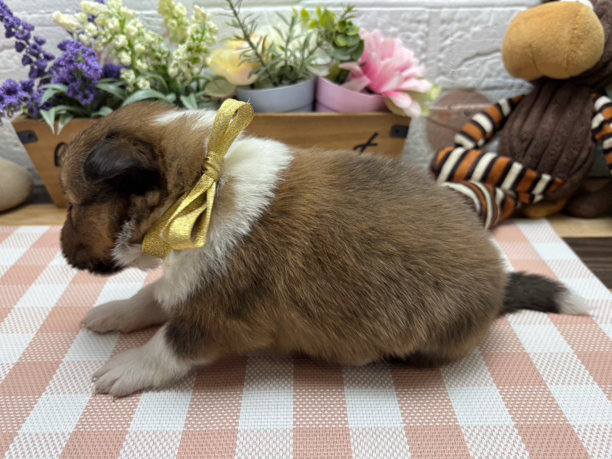 赤ちゃん写真2-2