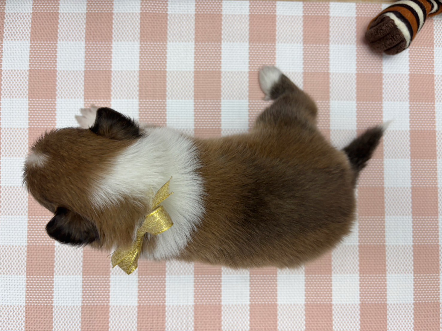赤ちゃん写真2-3