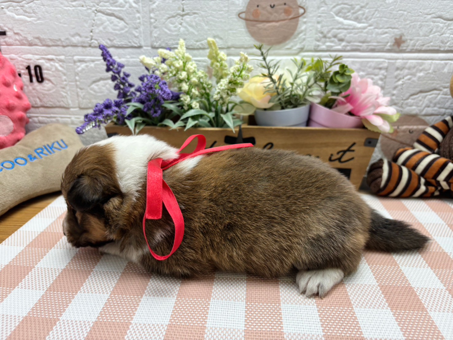 赤ちゃん写真2-2