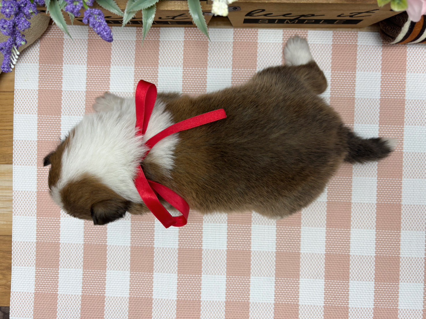 赤ちゃん写真2-3