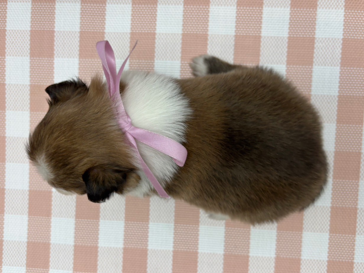 赤ちゃん写真2-3