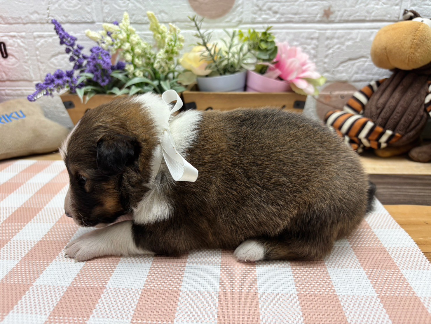 赤ちゃん写真2-2