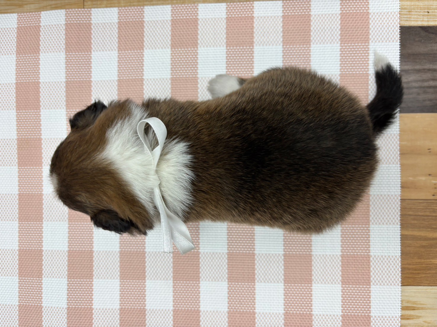 赤ちゃん写真2-3