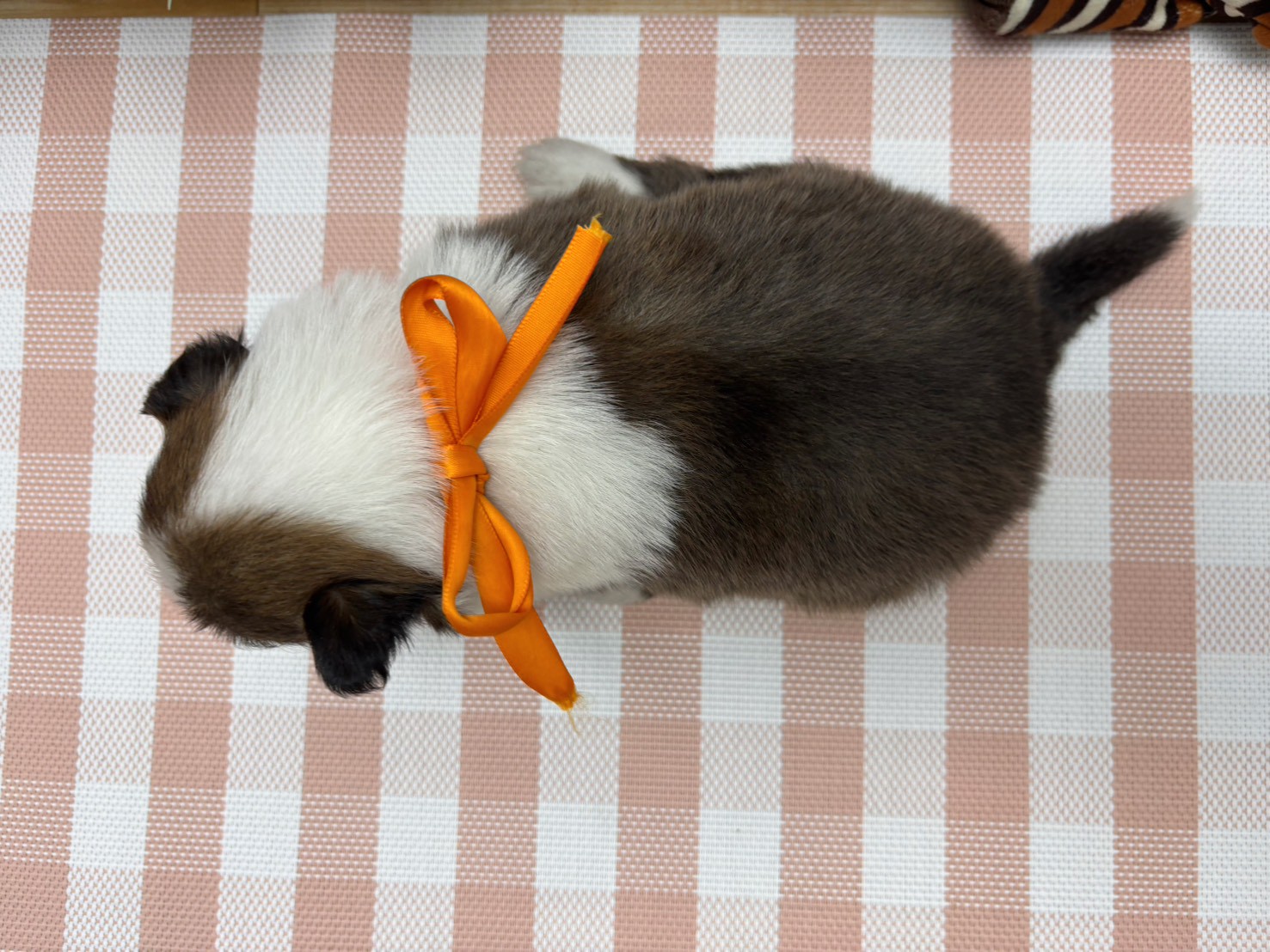 赤ちゃん写真2-3