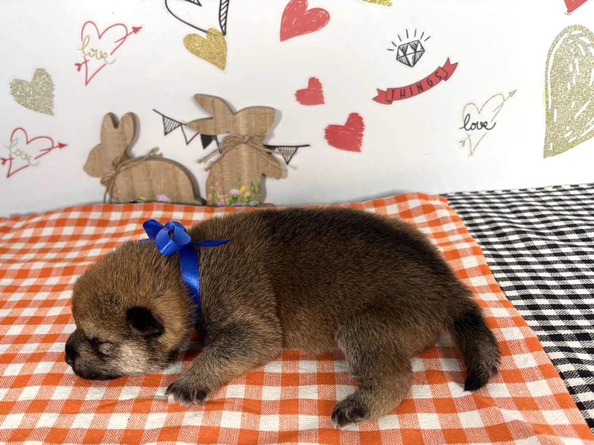 赤ちゃん写真1-2