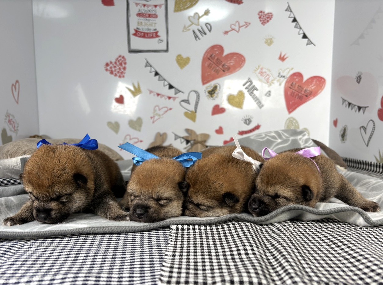 赤ちゃん写真1-3