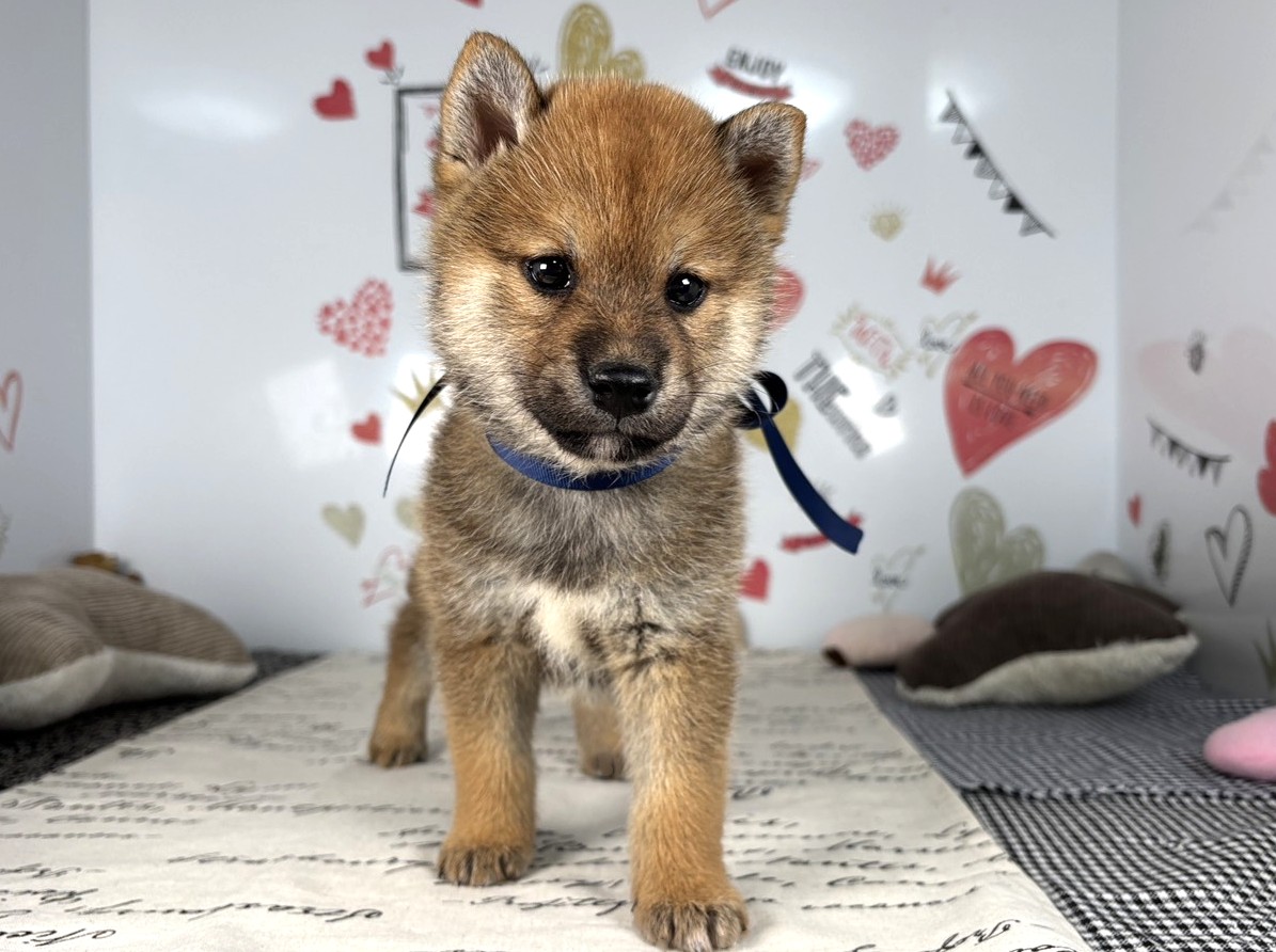 赤ちゃん写真2-1