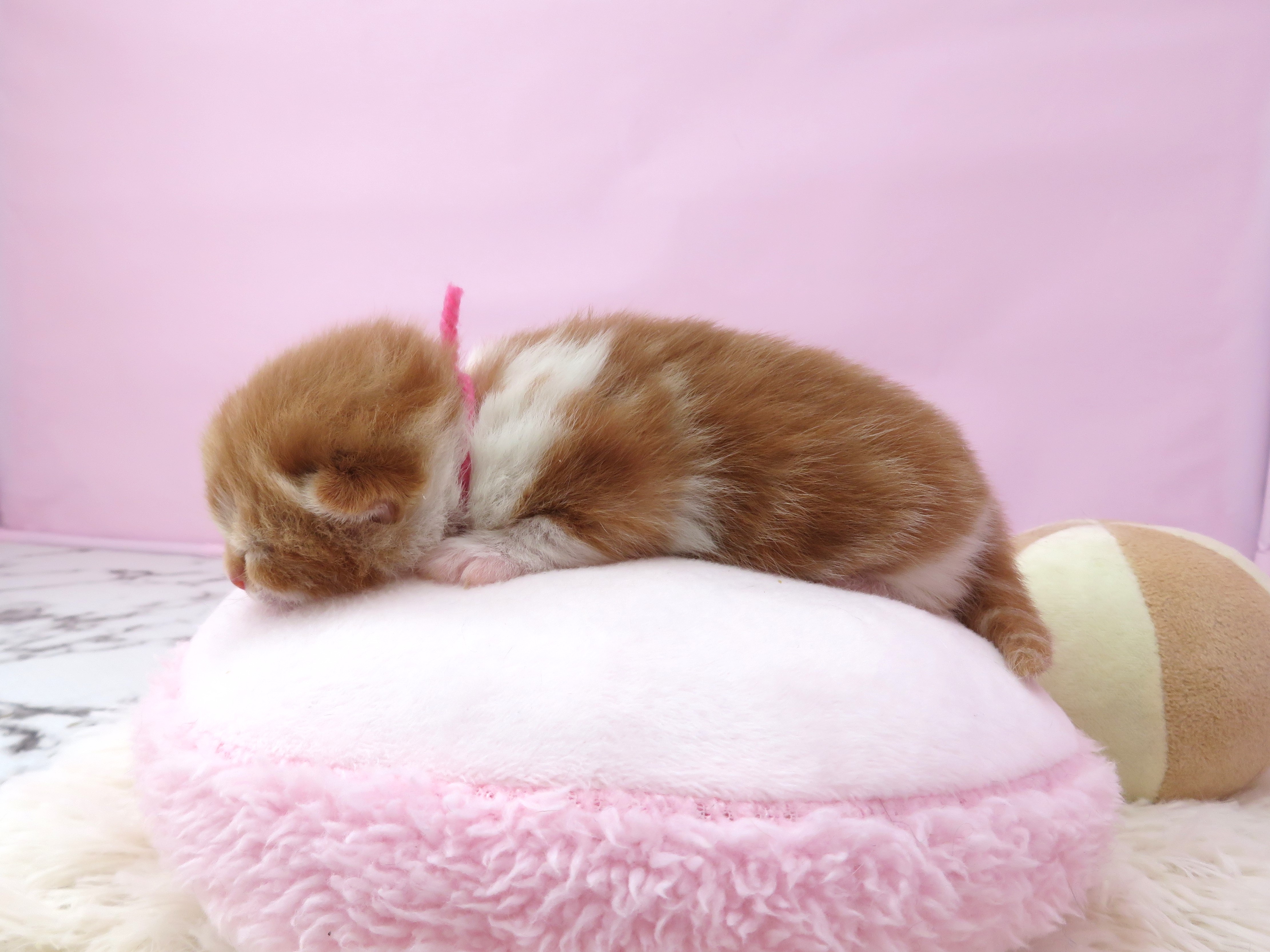 赤ちゃん写真1-2