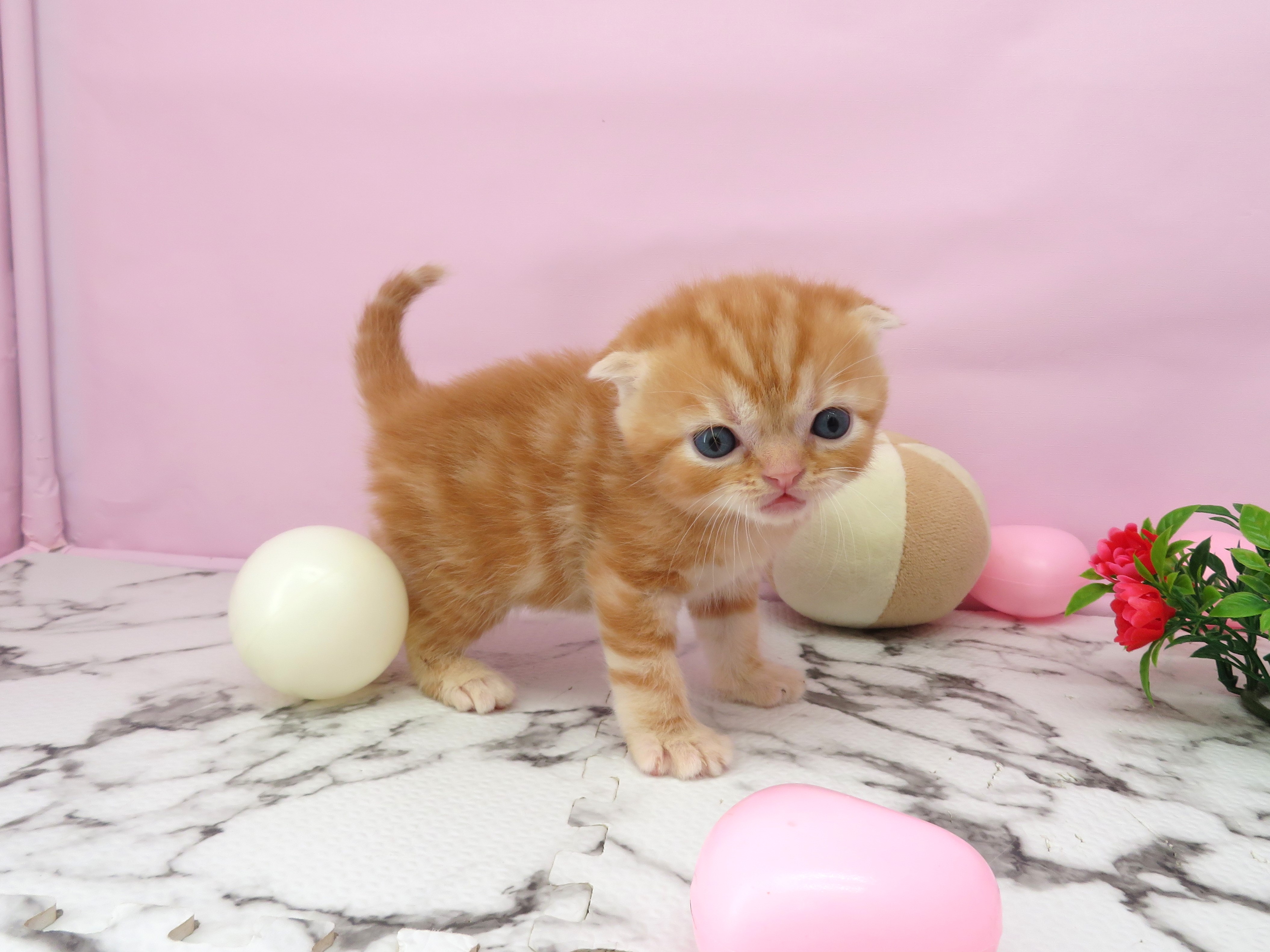 赤ちゃん写真2-2