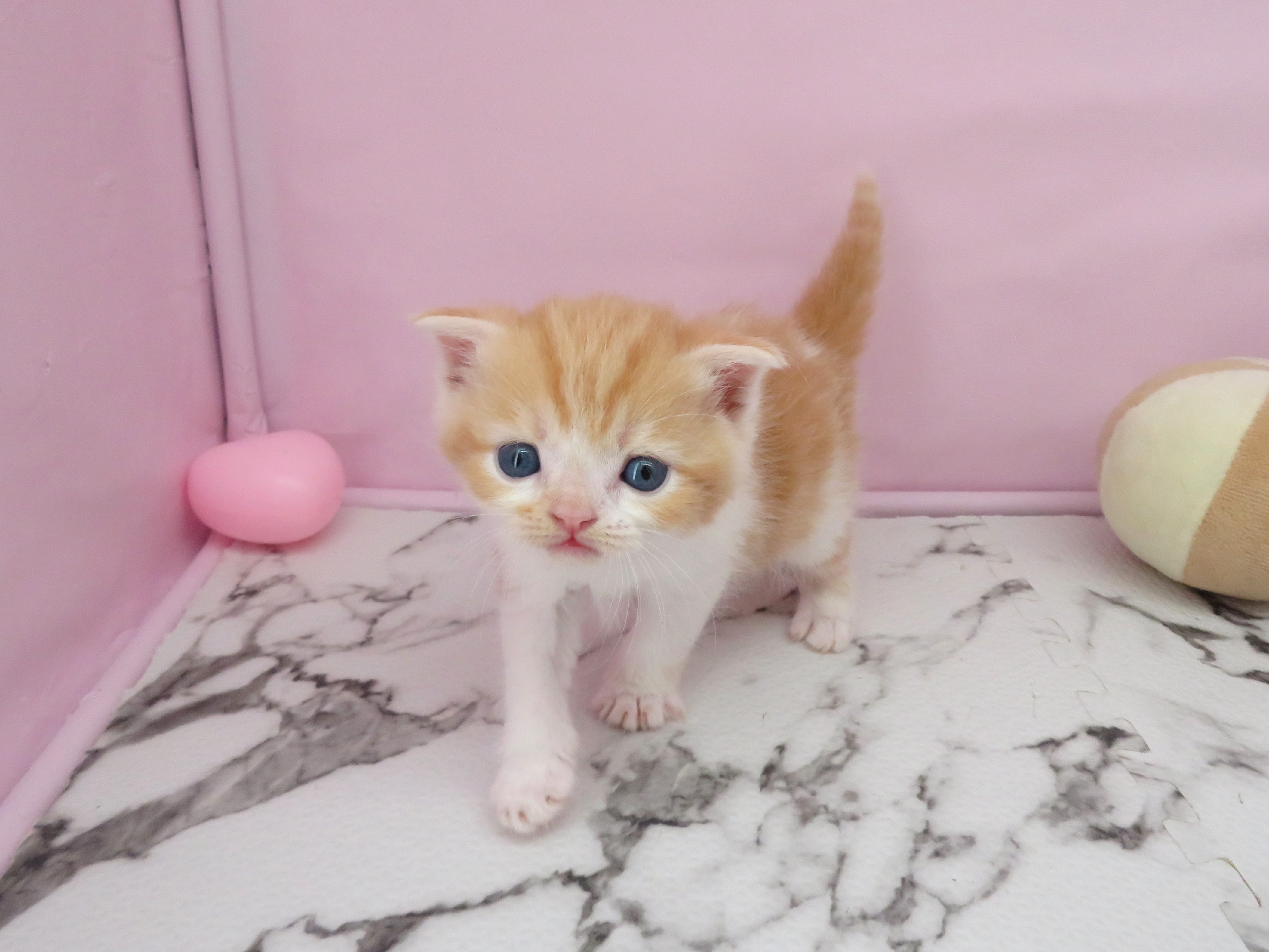 赤ちゃん写真2-2