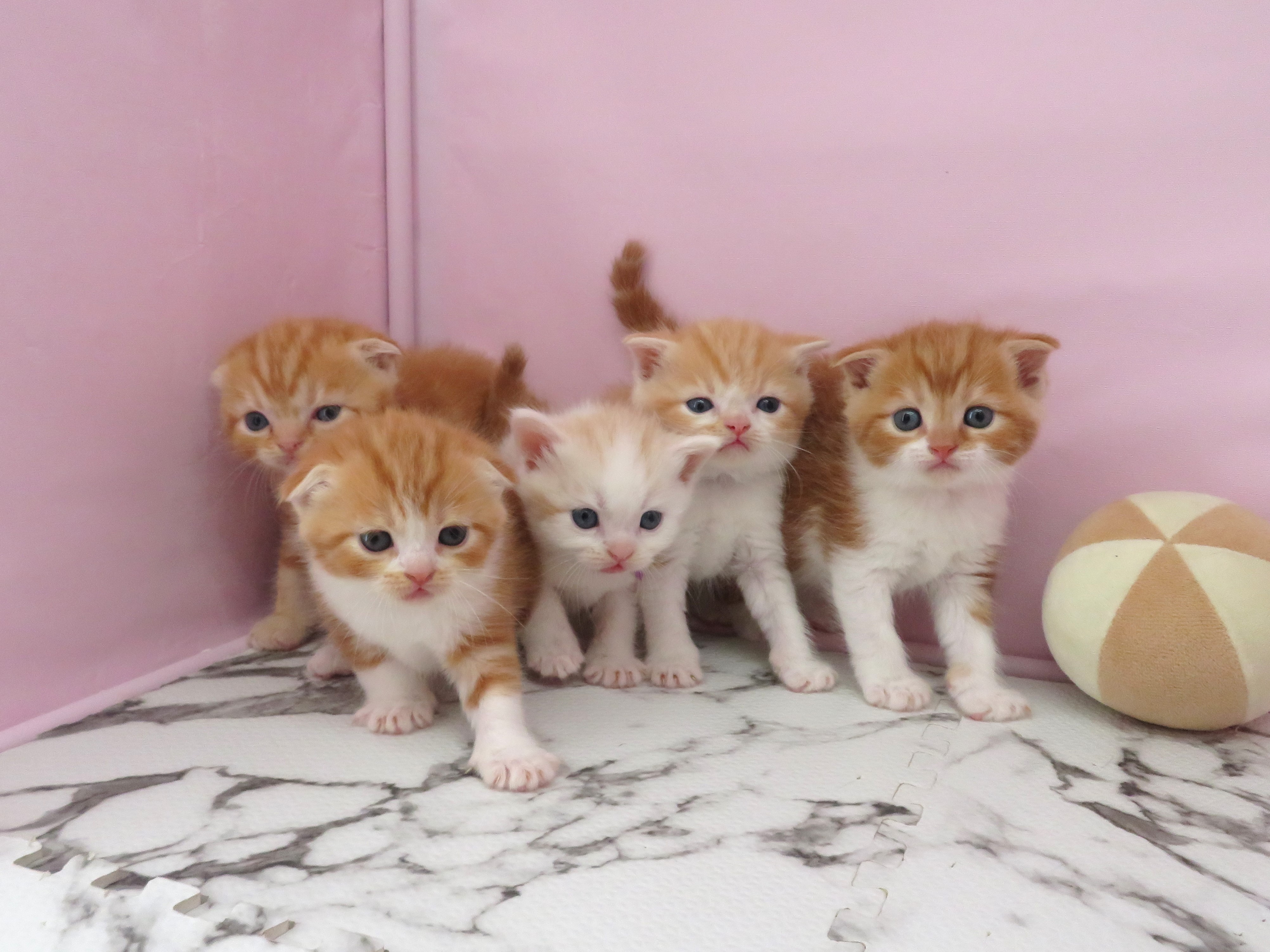 赤ちゃん写真2-3