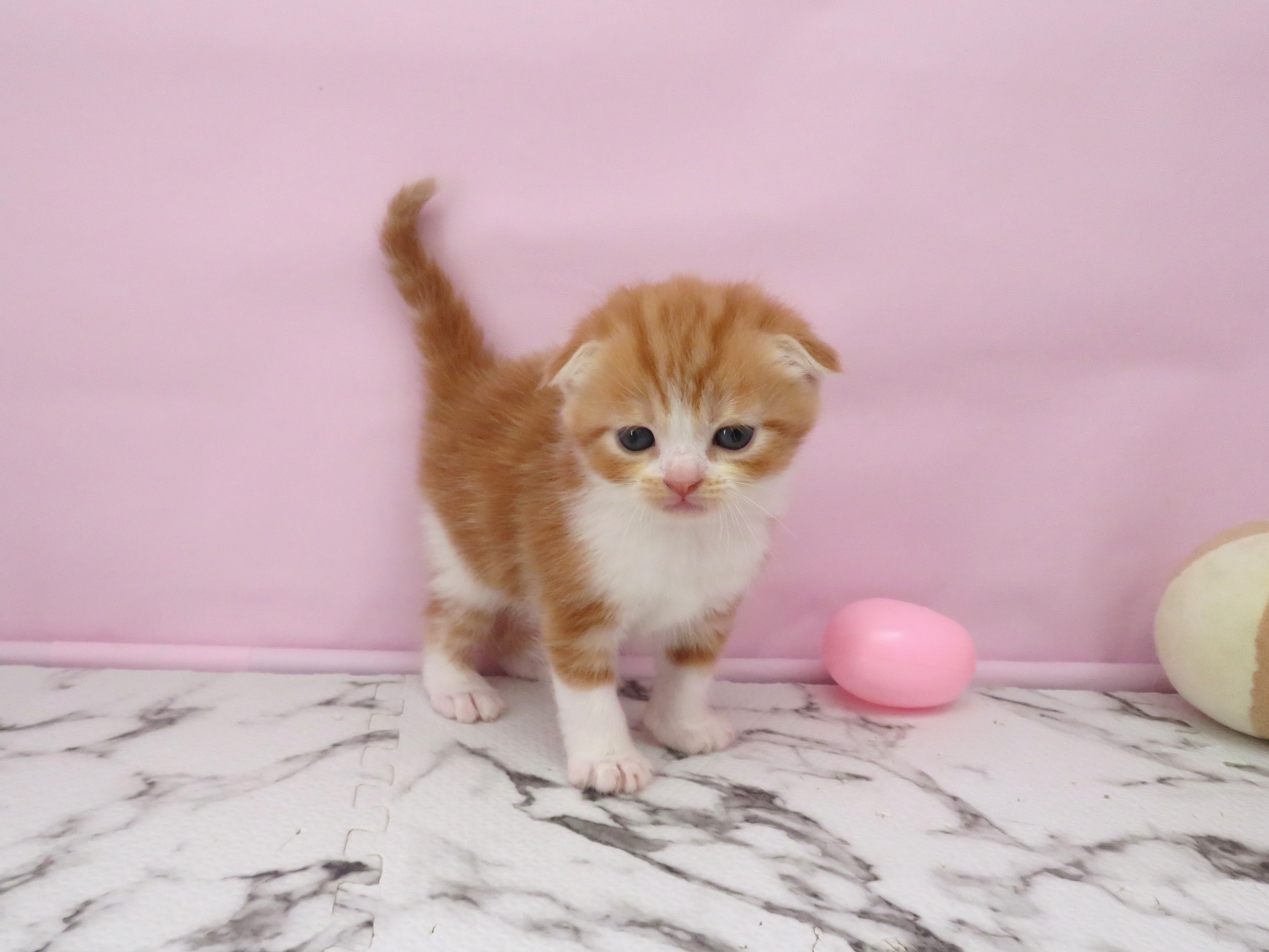 赤ちゃん写真2-2